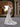 PRONOVIAS PRIVEE - ALLEN