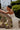 JUSTIN ALEXANDER - KEELEY 88457