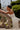 JUSTIN ALEXANDER - KEELEY 88457